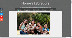 Desktop Screenshot of horneslabradors.com
