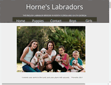 Tablet Screenshot of horneslabradors.com